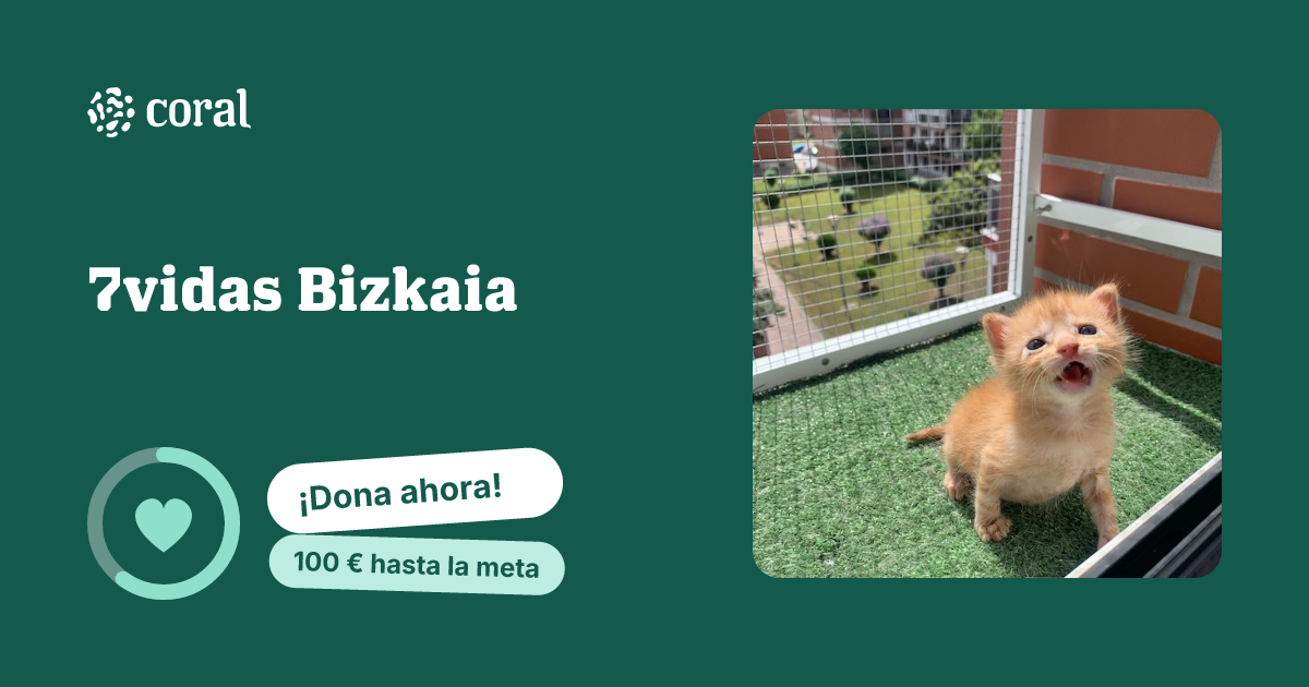 Vista previa de 7vidas Bizkaia al compartir en redes sociales
