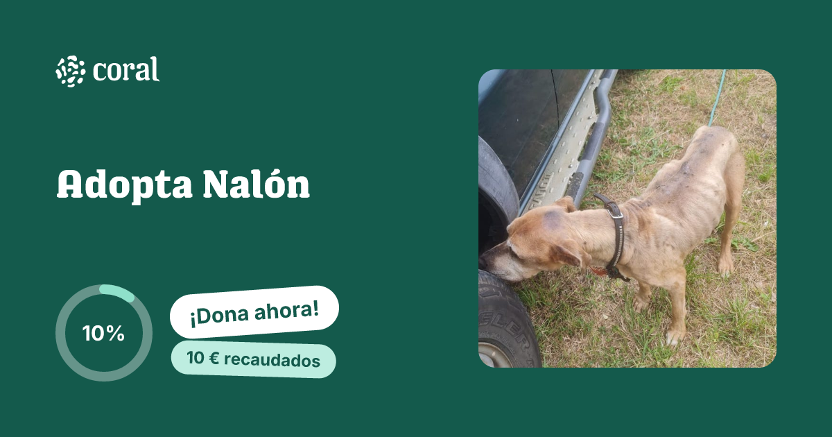 Vista previa de Adopta Nalón al compartir en redes sociales