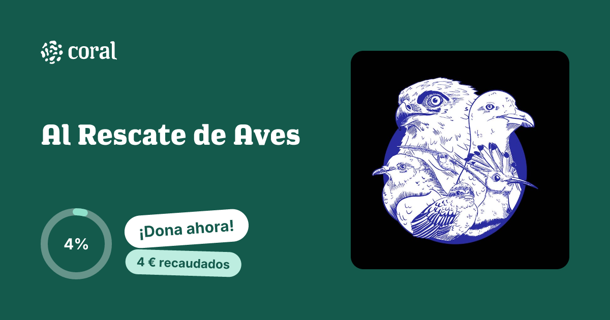 Vista previa de Al Rescate de Aves al compartir en redes sociales