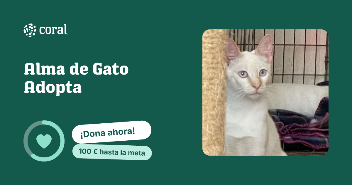 Vista previa de Alma de Gato Adopta al compartir en redes sociales