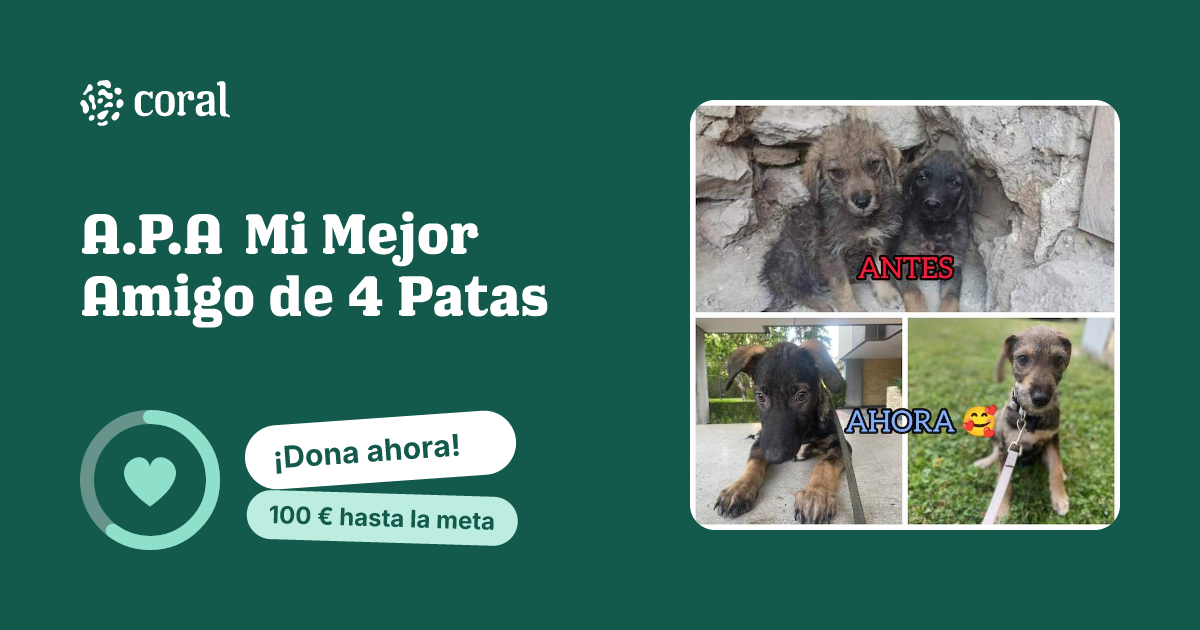 Vista previa de A.P.A Mi Mejor Amigo de 4 Patas al compartir en redes sociales