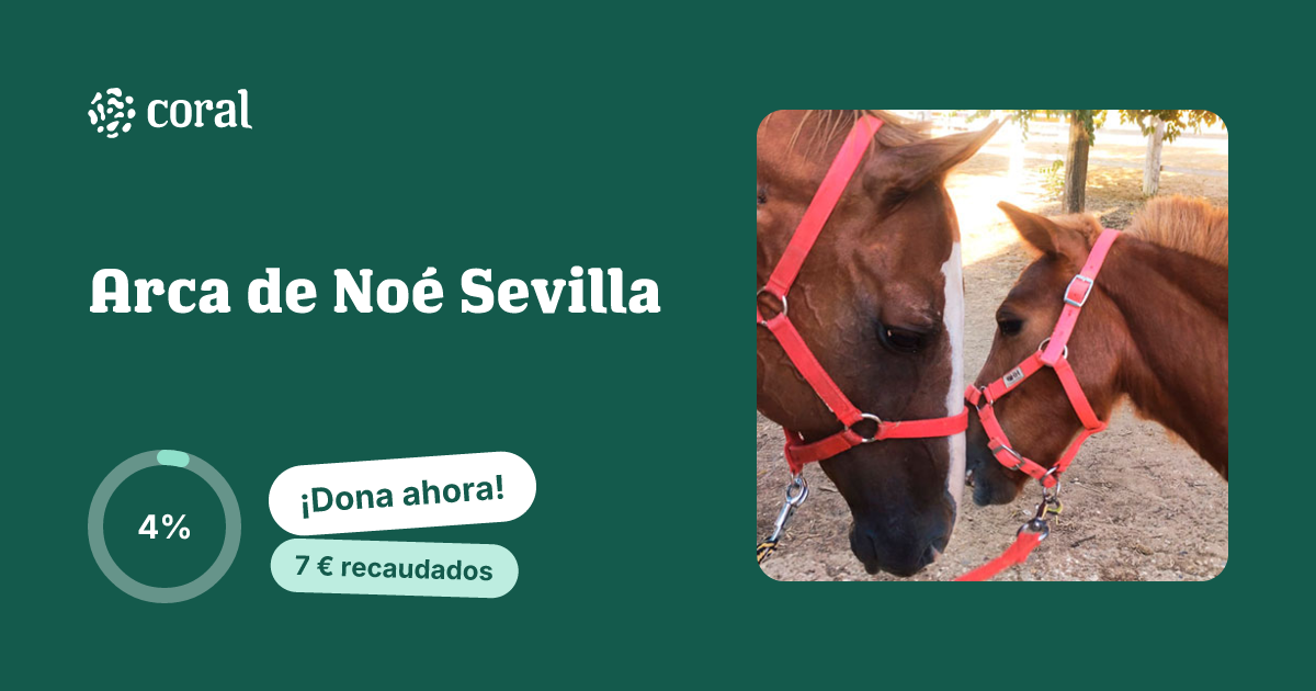 Vista previa de Arca de Noé Sevilla al compartir en redes sociales