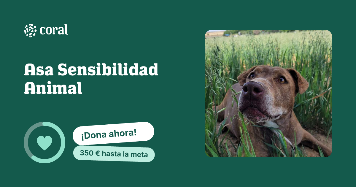 Vista previa de Asa Sensibilidad Animal al compartir en redes sociales