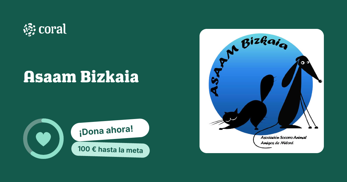 Vista previa de Asaam Bizkaia al compartir en redes sociales