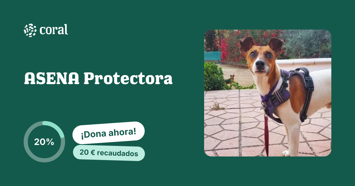 Vista previa de ASENA Protectora al compartir en redes sociales