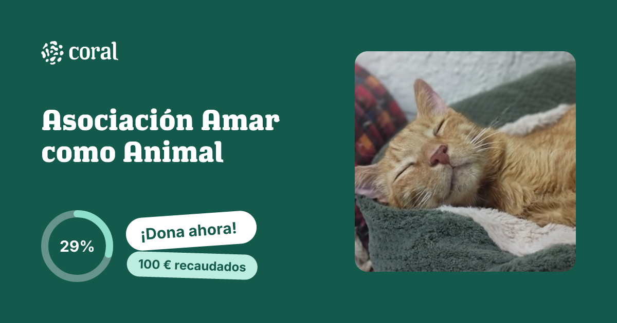Vista previa de Asociación Amar como Animal al compartir en redes sociales