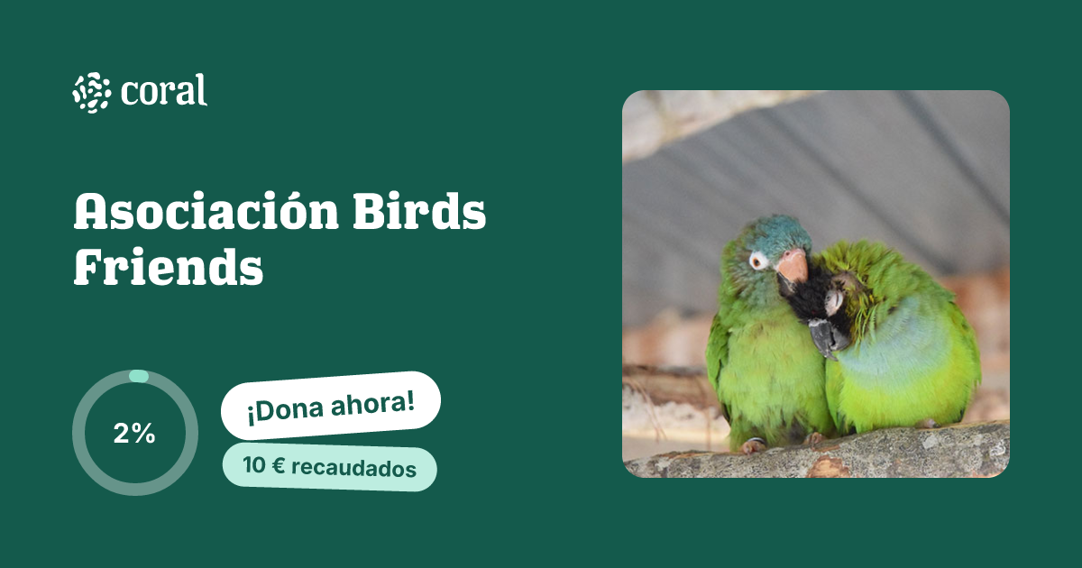 Vista previa de Asociación Birds Friends al compartir en redes sociales