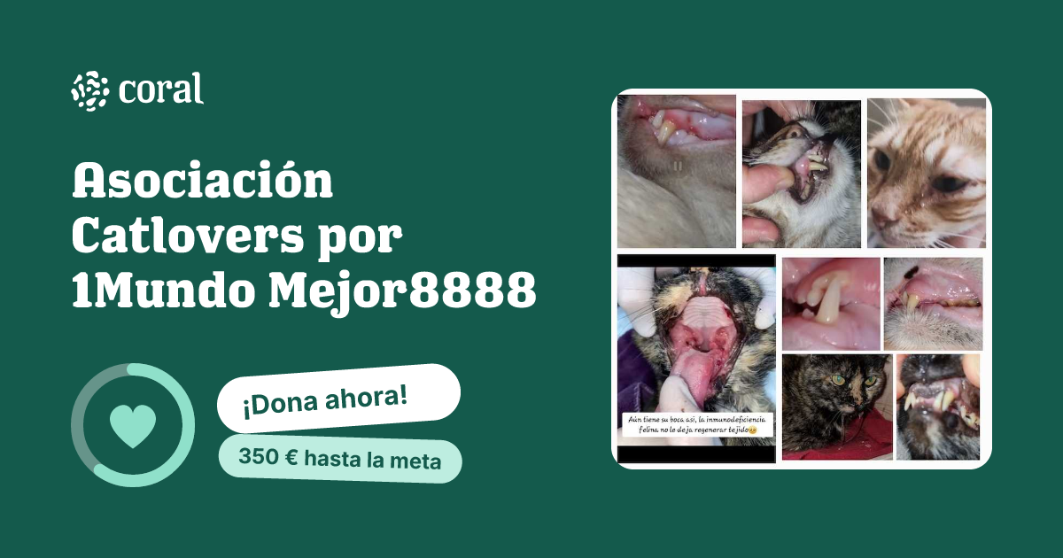Vista previa de Asociación Catlovers por 1Mundo Mejor8888 al compartir en redes sociales