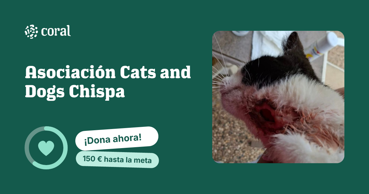Vista previa de Asociación Cats and Dogs Chispa al compartir en redes sociales