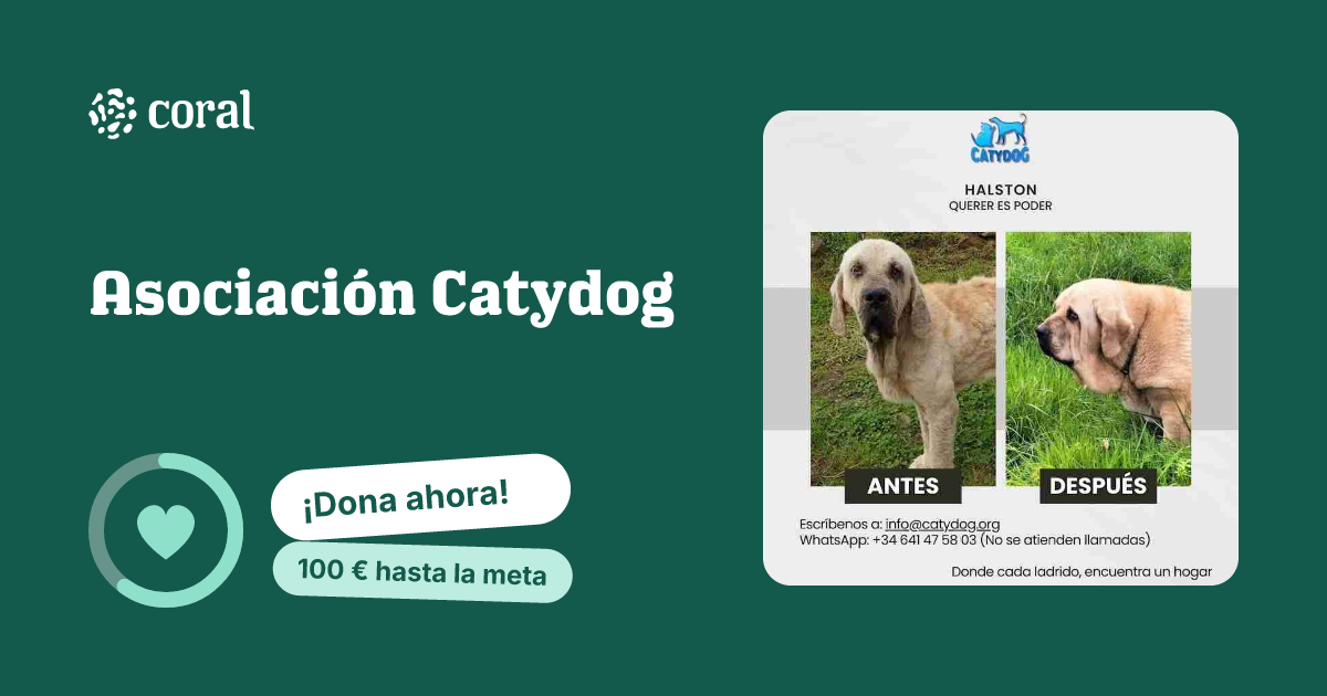 Vista previa de Asociación Catydog al compartir en redes sociales