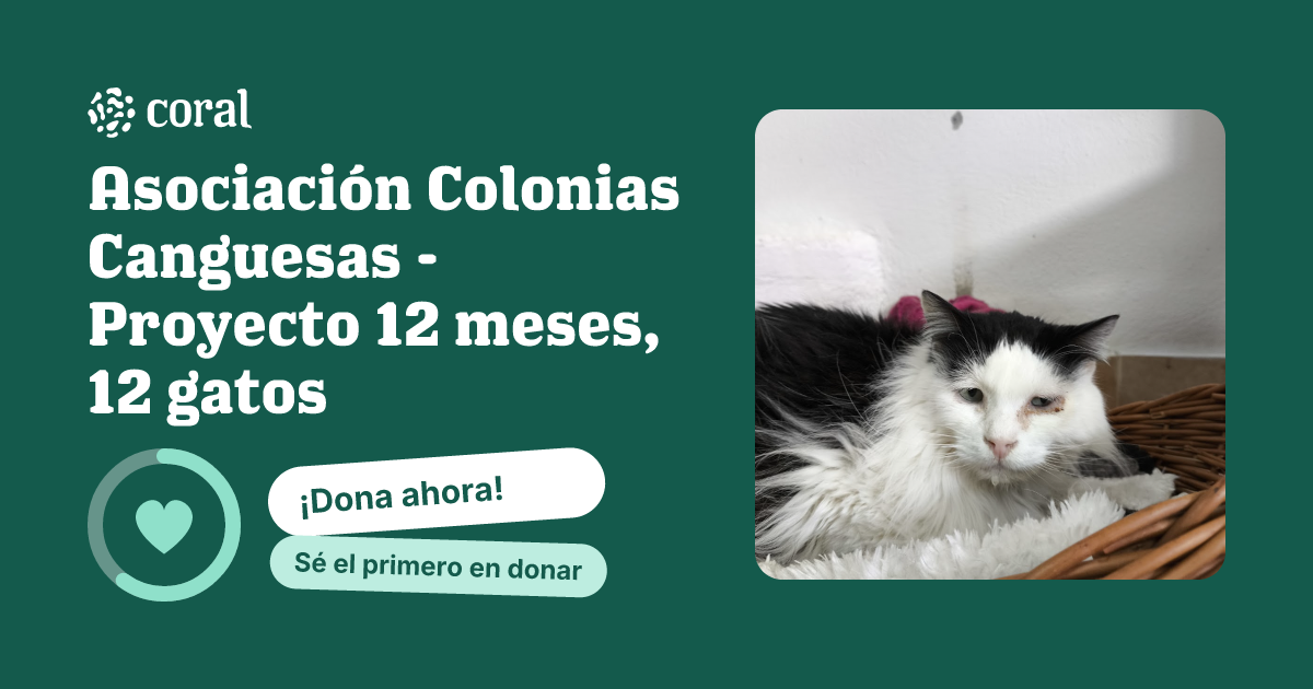 Vista previa de Asociación Colonias Canguesas - Proyecto 12 meses, 12 gatos al compartir en redes sociales