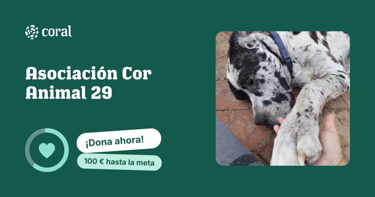 Vista previa de Asociación Cor Animal 29 al compartir en redes sociales