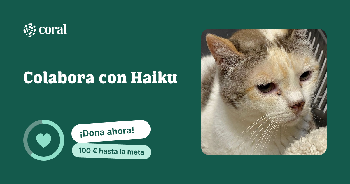 Vista previa de Colabora con Haiku al compartir en redes sociales