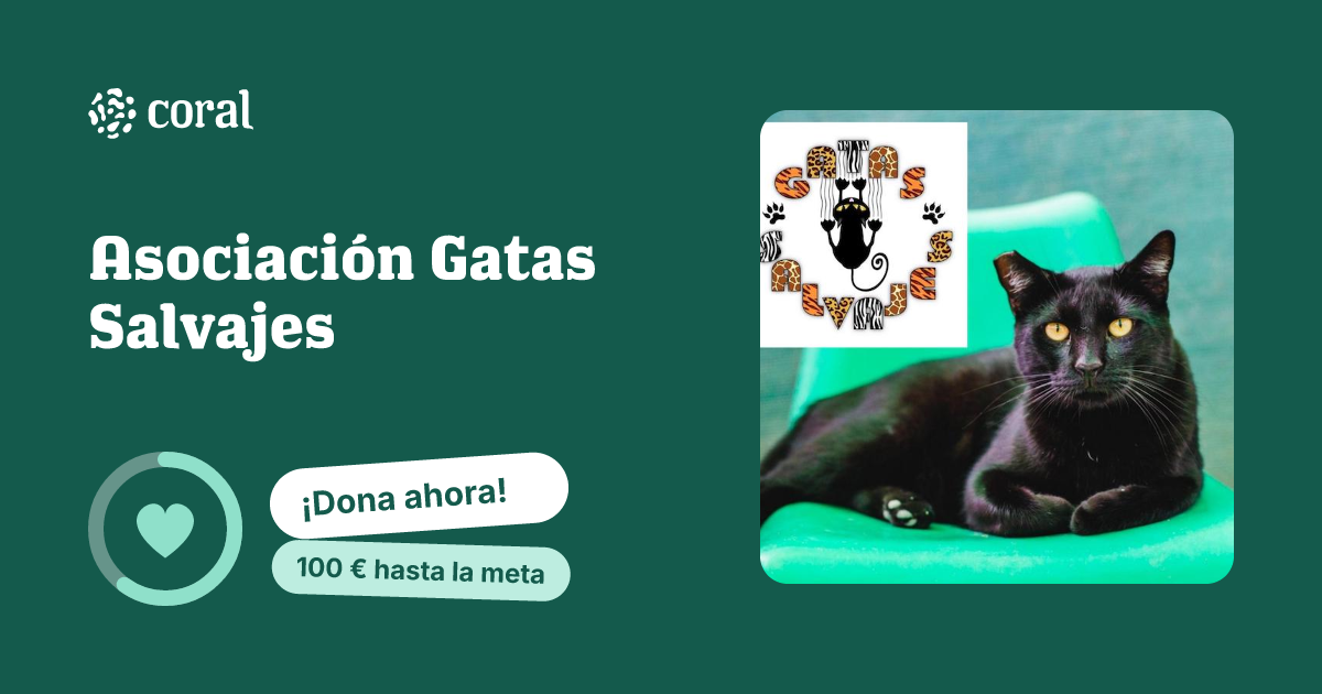 Vista previa de Asociación Gatas Salvajes al compartir en redes sociales