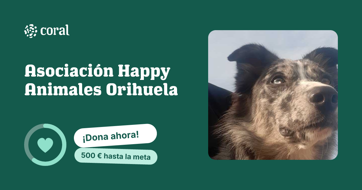 Vista previa de Asociación Happy Animales Orihuela al compartir en redes sociales