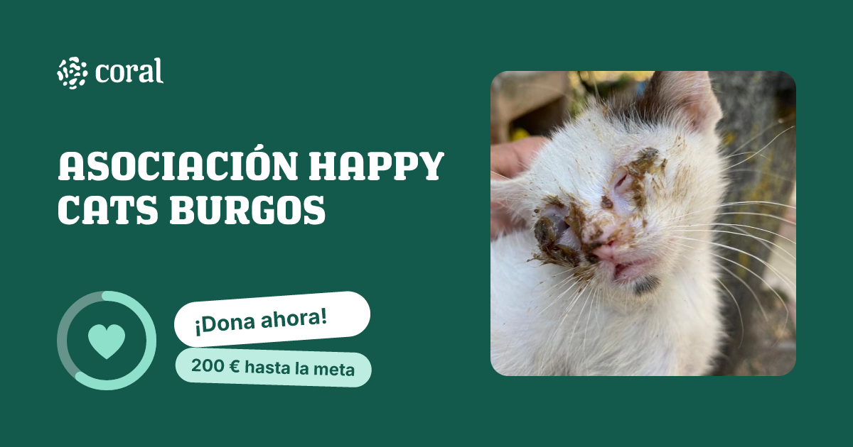 Vista previa de ASOCIACIÓN HAPPY CATS BURGOS  al compartir en redes sociales