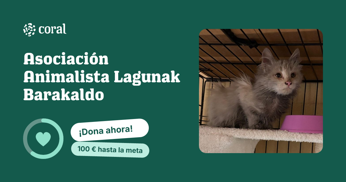 Vista previa de Asociación Lagunak Barakaldo al compartir en redes sociales