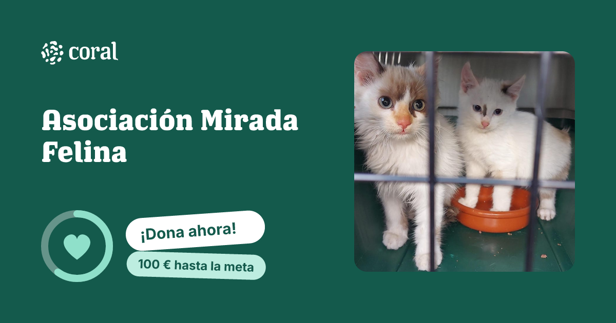 Vista previa de Asociación Mirada Felina al compartir en redes sociales