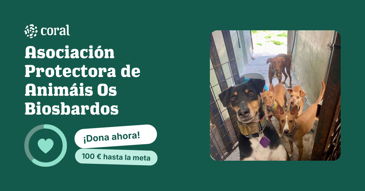 Vista previa de Asociación Protectora de Animáis Os Biosbardos al compartir en redes sociales