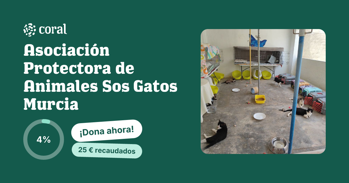 Vista previa de Asociación Protectora de Animales Sos Gatos Murcia al compartir en redes sociales