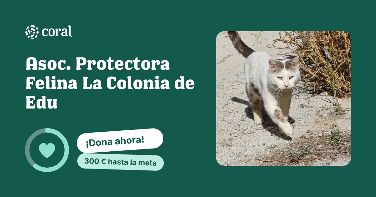 Vista previa de Asoc. Protectora Felina La Colonia de Edu al compartir en redes sociales