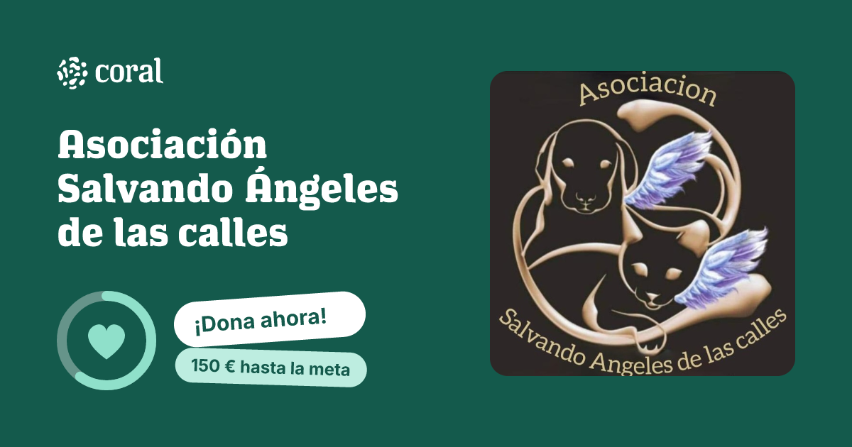 Vista previa de Asociación Salvando Ángeles de las calles al compartir en redes sociales