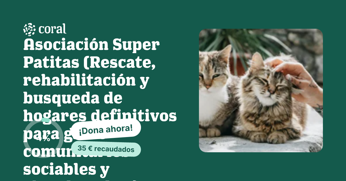 Vista previa de Asociación Super Patitas (Rescate, rehabilitación y busqueda de hogares definitivos para gatos comunitarios sociables y abandonados.) al compartir en redes sociales