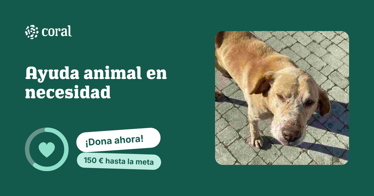 Vista previa de Ayuda animal en necesidad al compartir en redes sociales