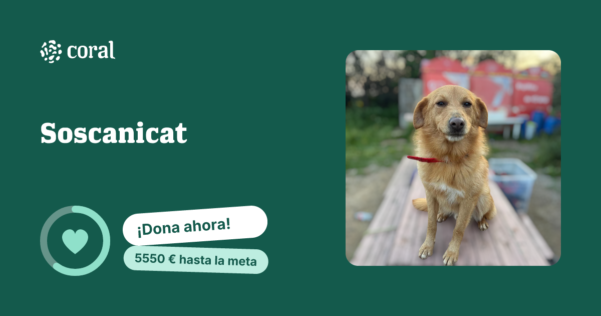 Vista previa de Soscanicat al compartir en redes sociales