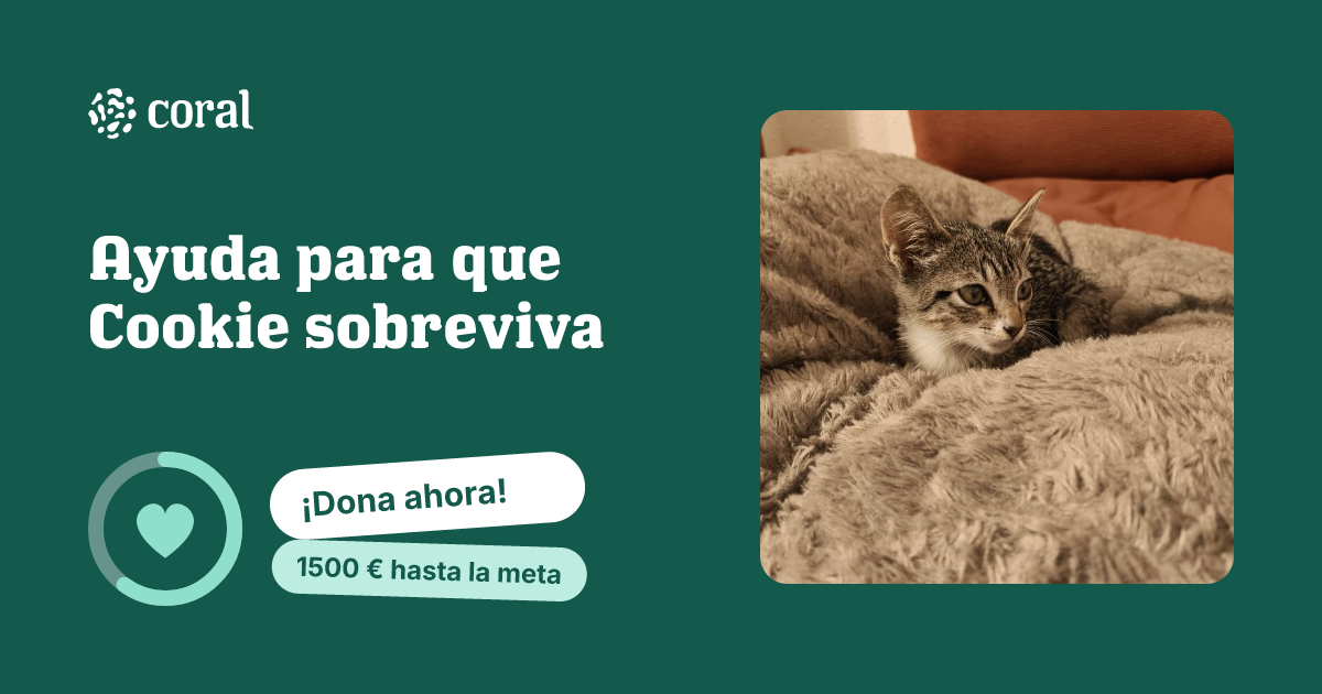 Vista previa de Ayuda para que Cookie sobreviva al compartir en redes sociales