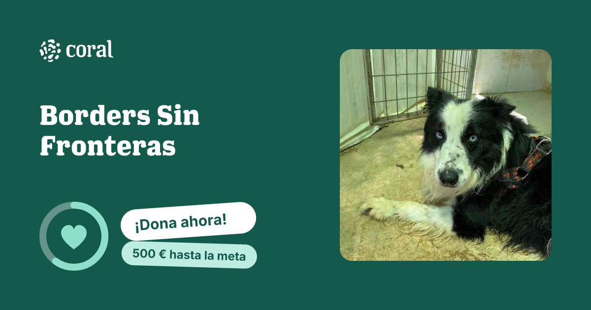 Vista previa de Borders Sin Fronteras al compartir en redes sociales