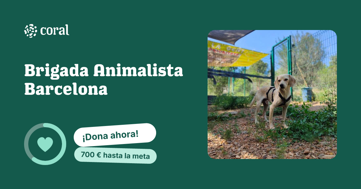 Vista previa de Brigada Animalista Barcelona al compartir en redes sociales