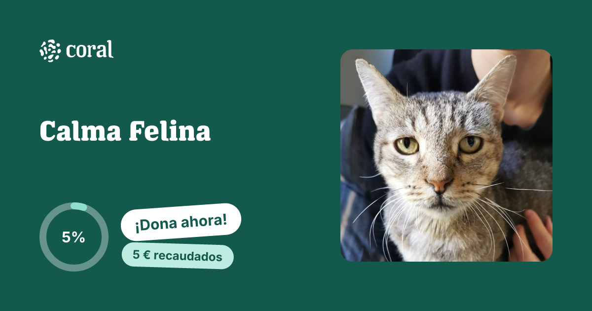 Vista previa de Calma Felina al compartir en redes sociales