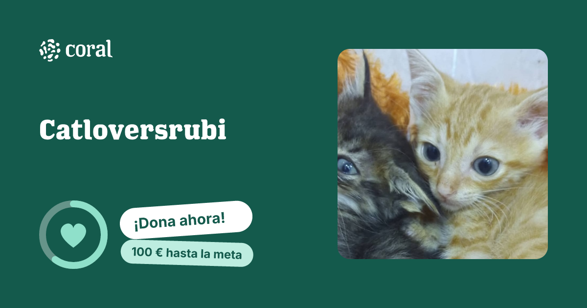 Vista previa de Catloversrubi al compartir en redes sociales