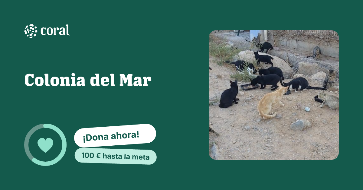 Vista previa de Colonia del Mar al compartir en redes sociales