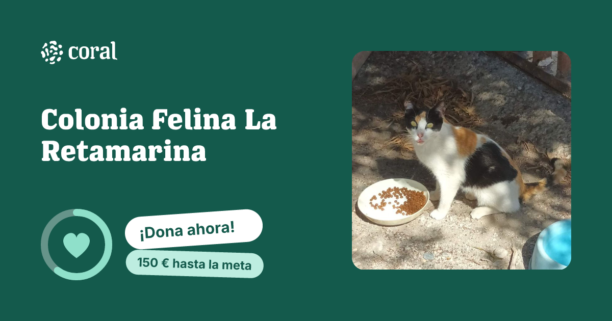 Vista previa de Colonia Felina La Retamarina al compartir en redes sociales