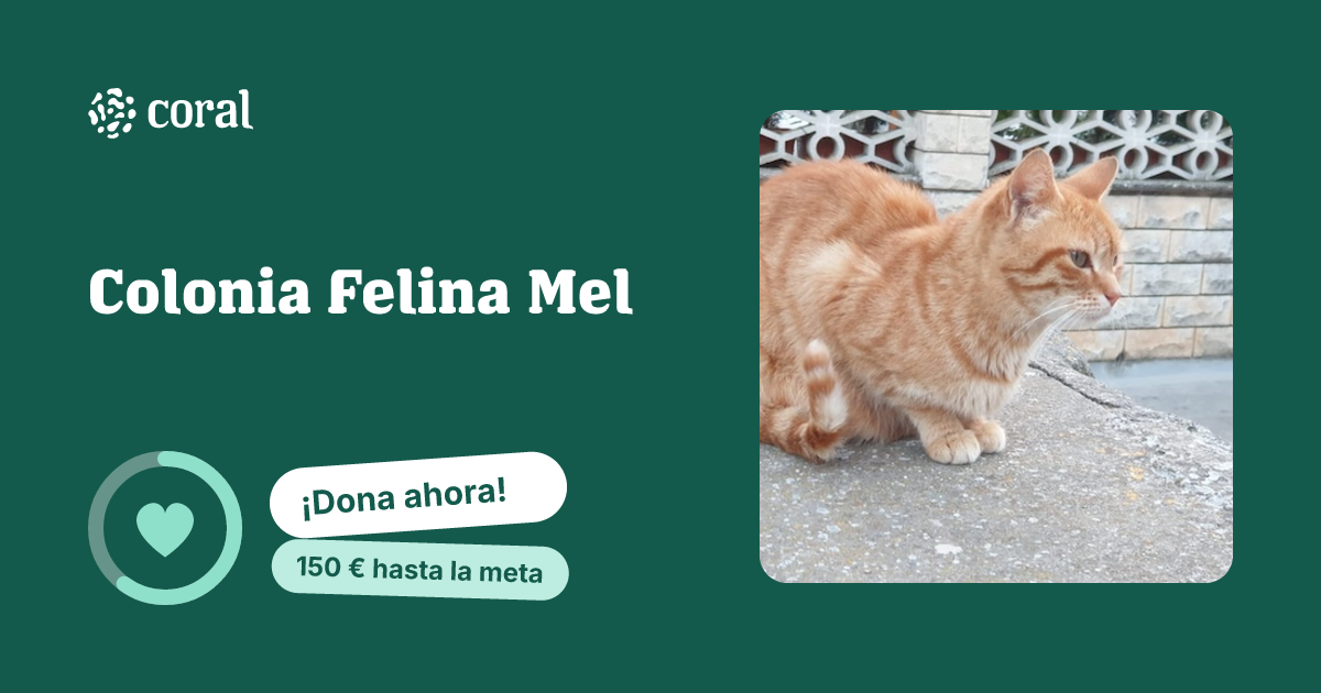 Vista previa de Colonia Felina Mel al compartir en redes sociales