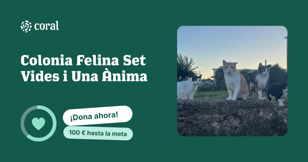 Vista previa de Colonia Felina Set Vides i Una Ànima al compartir en redes sociales