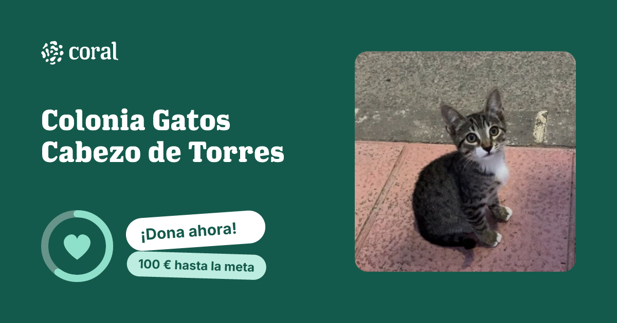 Vista previa de Colonia Gatos Cabezo de Torres al compartir en redes sociales