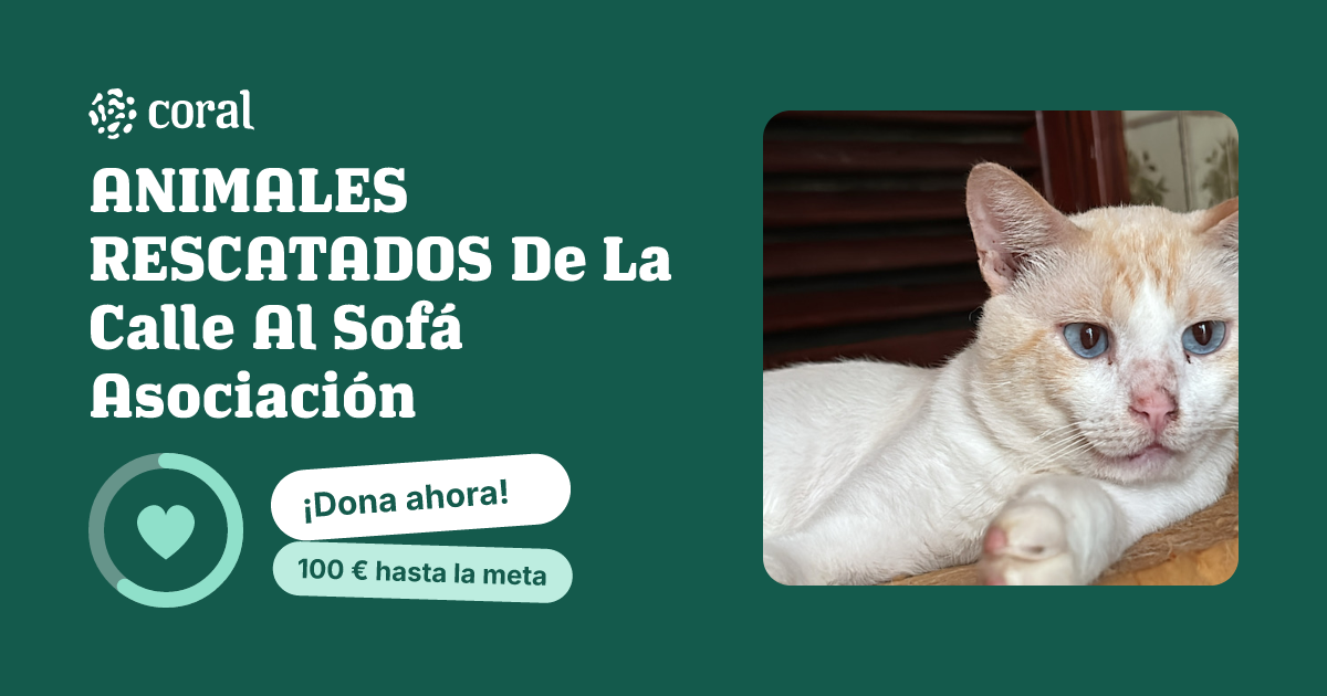 Vista previa de ANIMALES RESCATADOS De La Calle Al Sofá Asociación al compartir en redes sociales