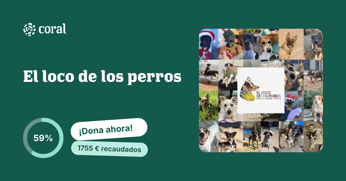 Vista previa de El loco de los perros al compartir en redes sociales
