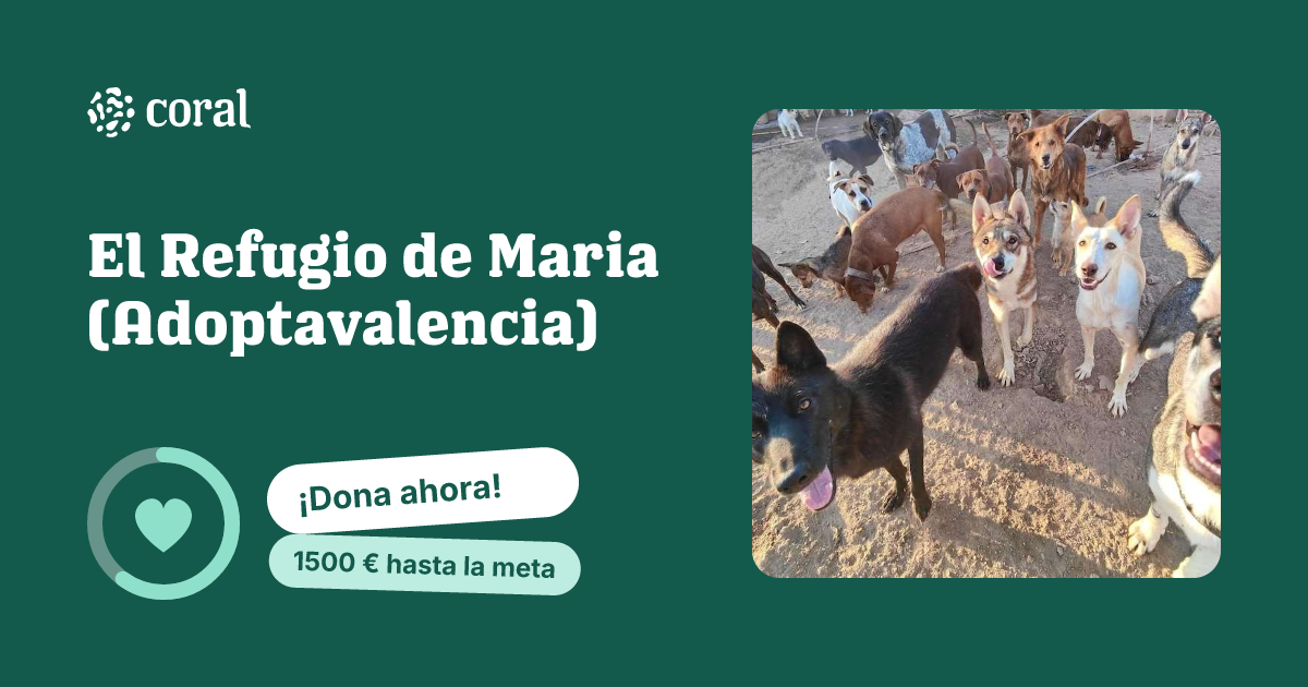 Vista previa de El Refugio de Maria (Adoptavalencia) al compartir en redes sociales