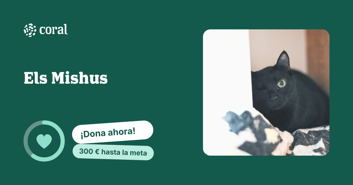 Vista previa de Els Mishus al compartir en redes sociales