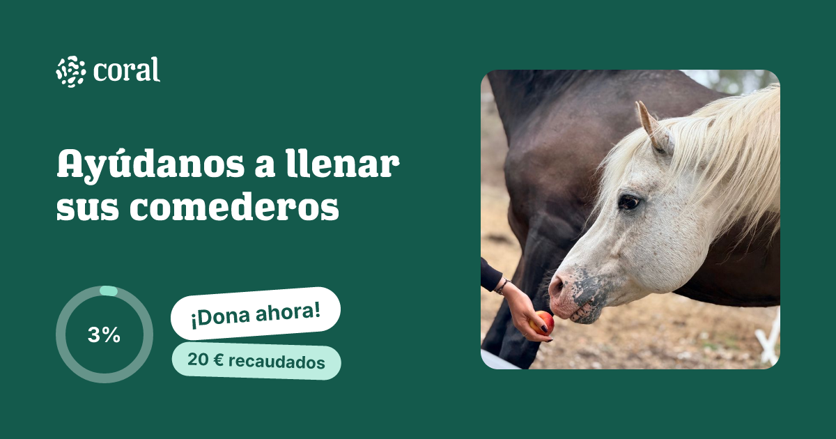 Vista previa de Ayúdanos a llenar sus comederos  al compartir en redes sociales