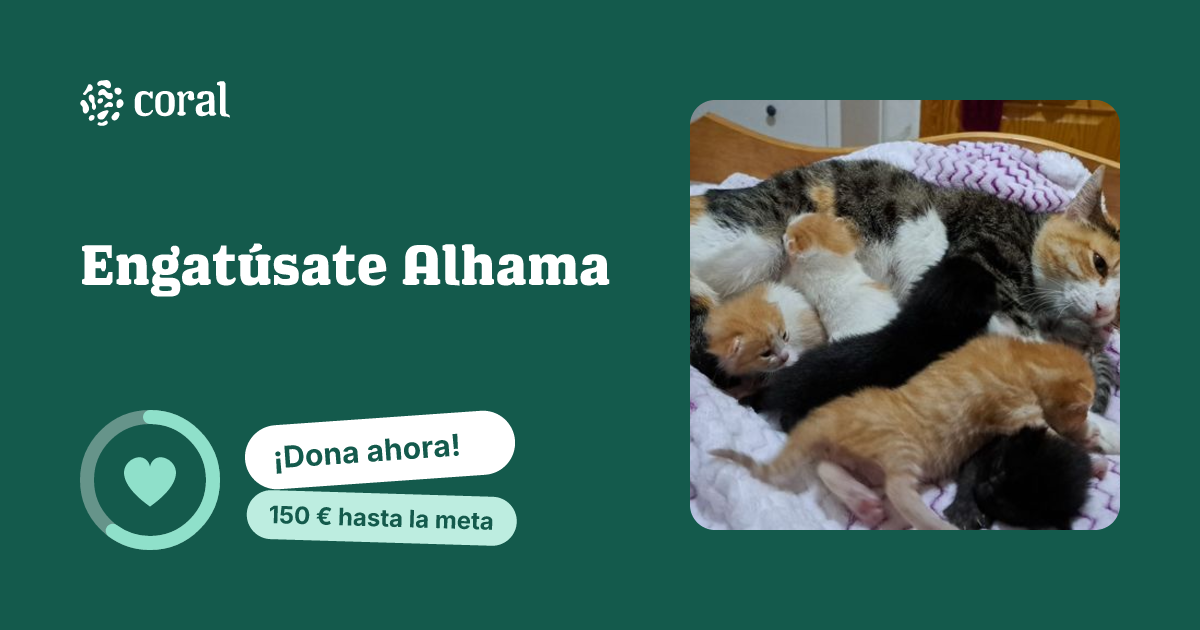 Vista previa de Engatúsate Alhama al compartir en redes sociales