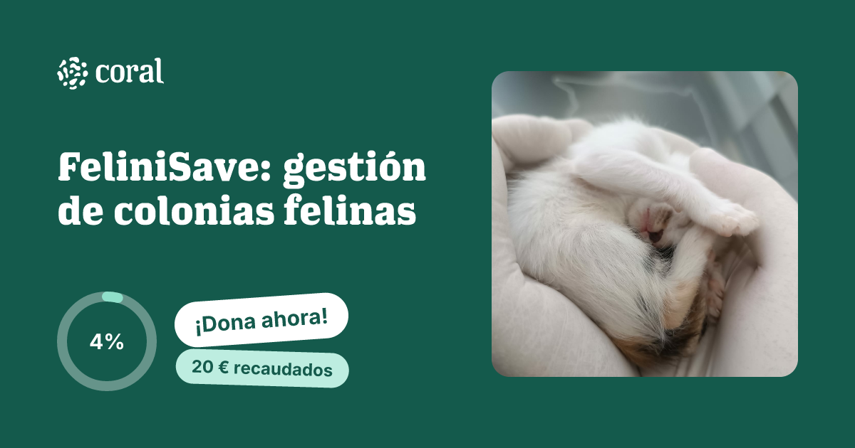 Vista previa de FeliniSave: gestión de colonias felinas al compartir en redes sociales