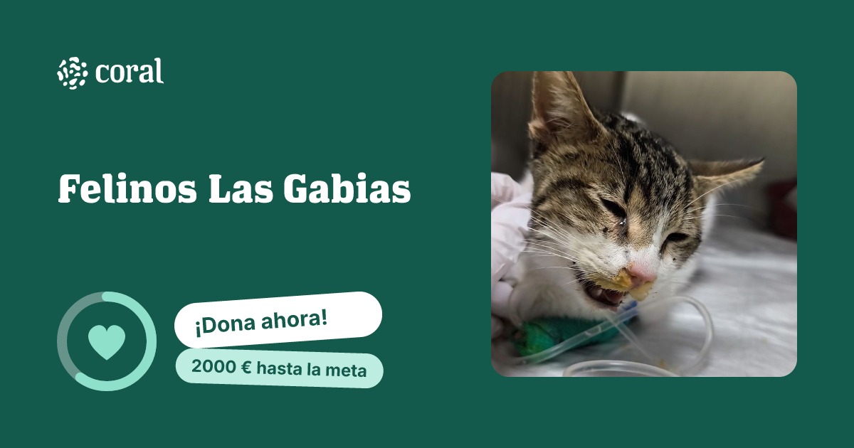 Vista previa de Felinos Las Gabias  al compartir en redes sociales
