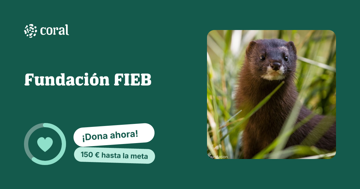 Vista previa de Fundación FIEB al compartir en redes sociales