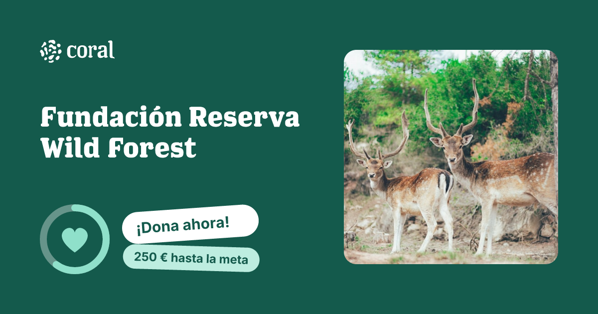 Vista previa de Fundación Reserva Wild Forest al compartir en redes sociales