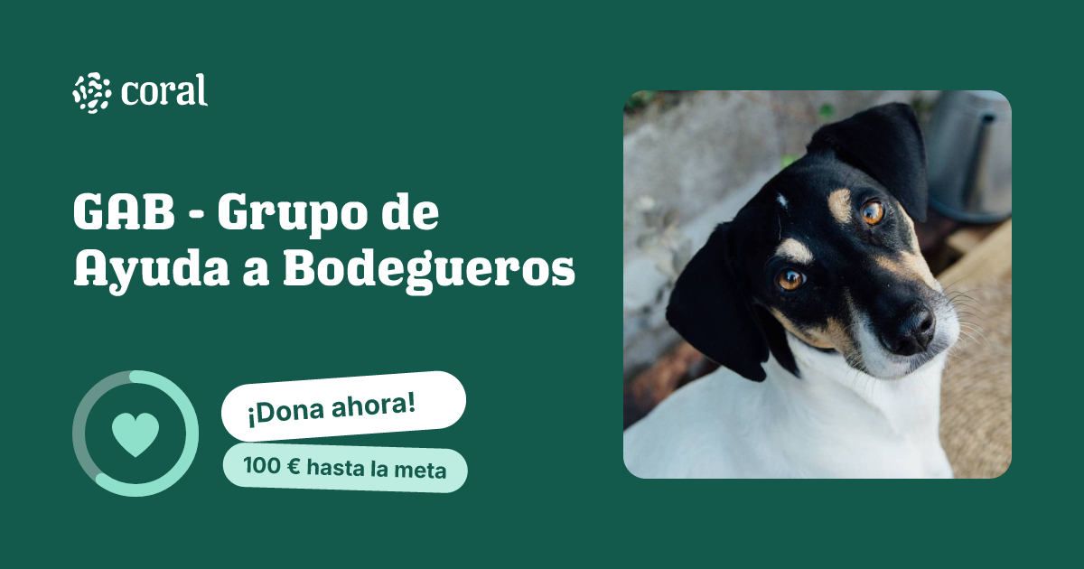 Vista previa de GAB - Grupo de Ayuda a Bodegueros al compartir en redes sociales